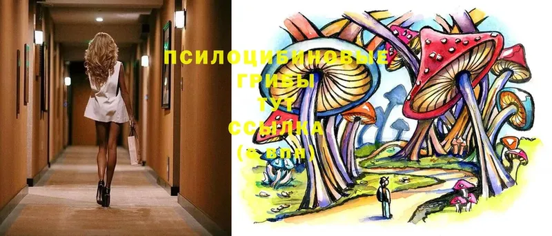 Галлюциногенные грибы Cubensis  Разумное 